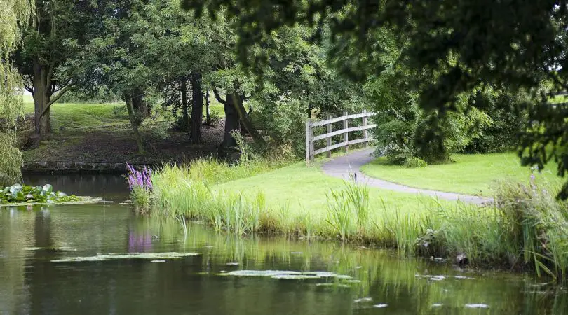 Picturesque pond and footpath