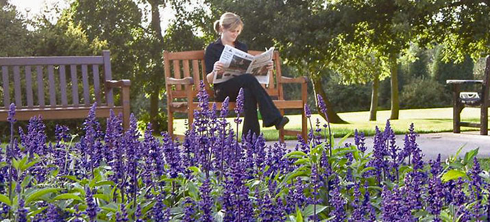 Sun's out and the flowers are in bloom! 