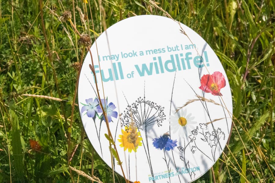 A sign placed amongst wild grass and flowers that says, 'I may look a mess but I am full of wildlife!'