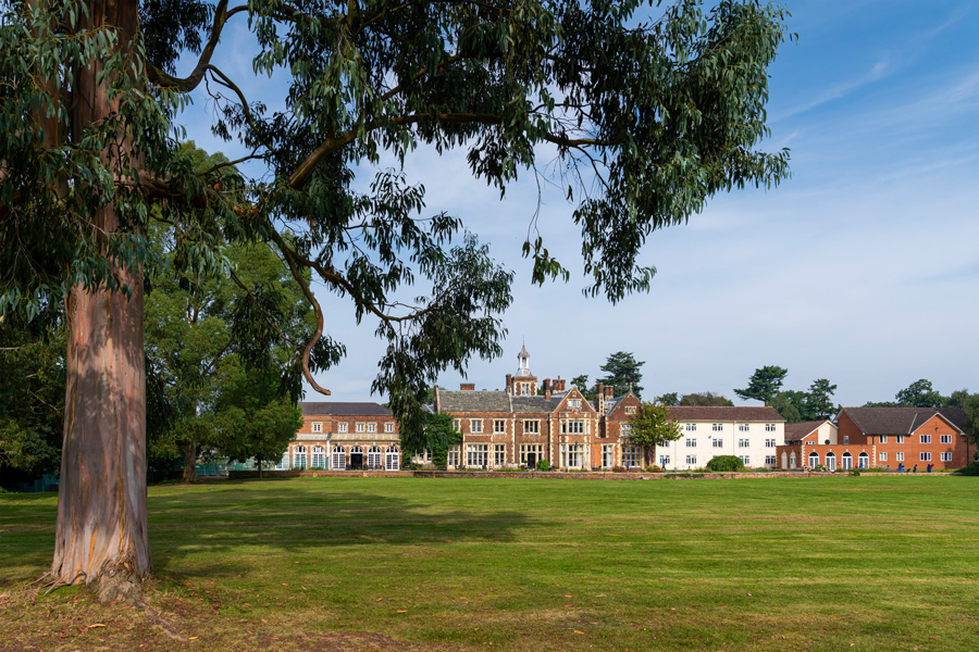 An image overlooking the grounds towards the back of High Leigh with a huge tree over hanging the top of the image.