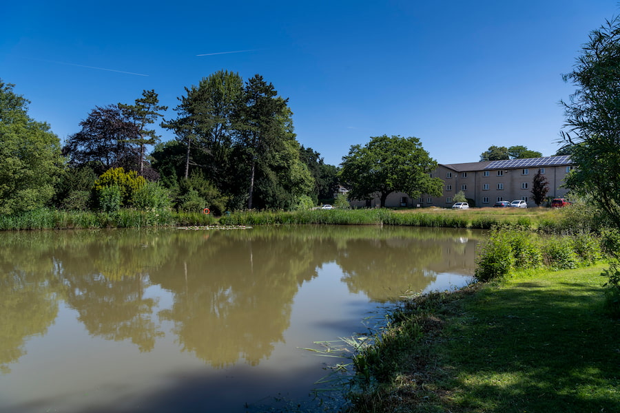 The upper lake at The Hayes during the summer with blue sky and lots of nature.