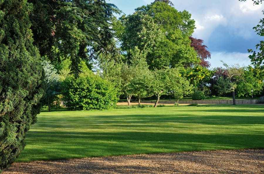 Highgate House lawns on a Summer's evening.