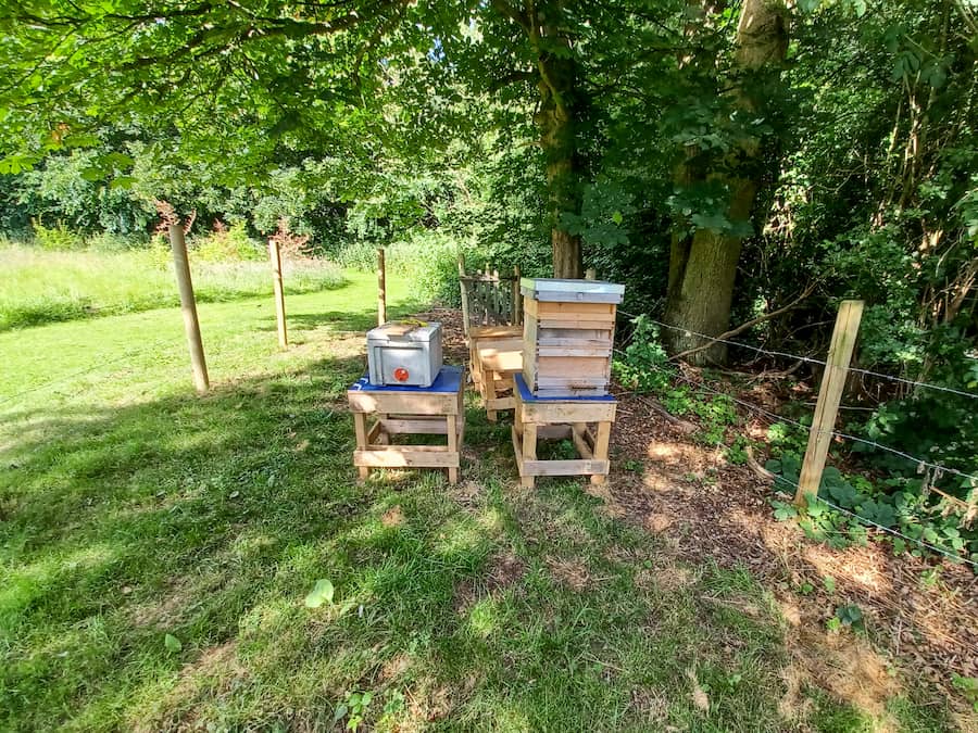 The beehive sitting within a fenced area with a box to the side of it.