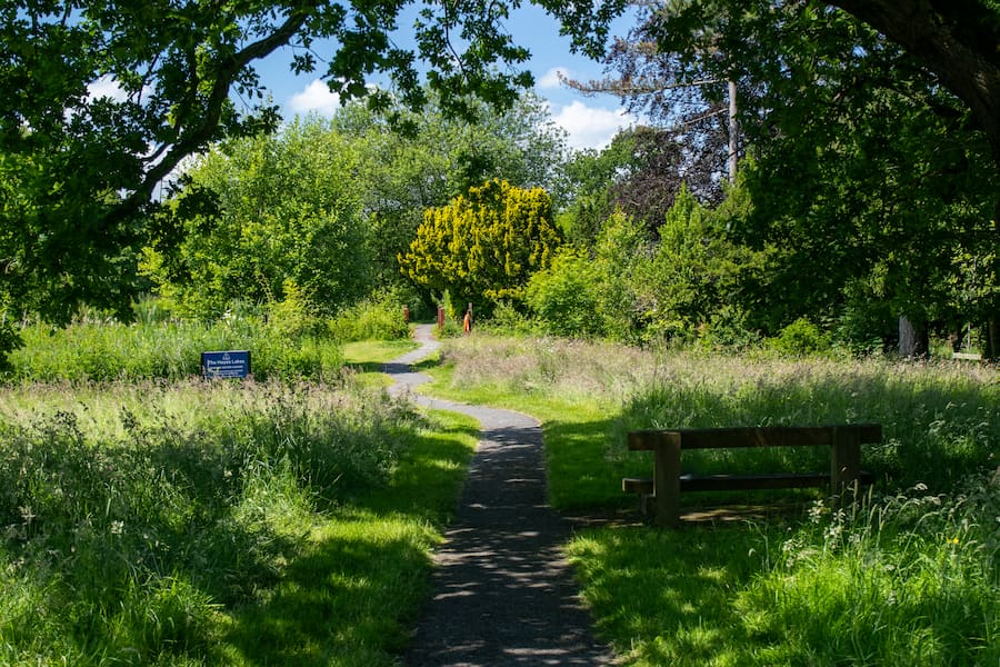 A path leading to the lake at The Hayes with short grass and then longer hay meadow sections.