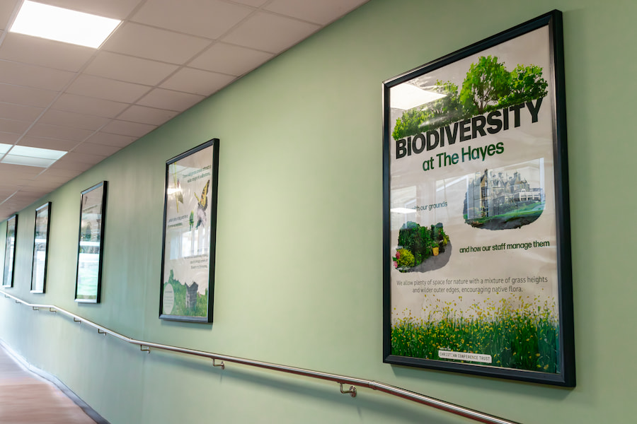 The wall leading up to the Chapel with new green walls and 5 large framed posters which talk about The Hayes' biodiversity efforts. 