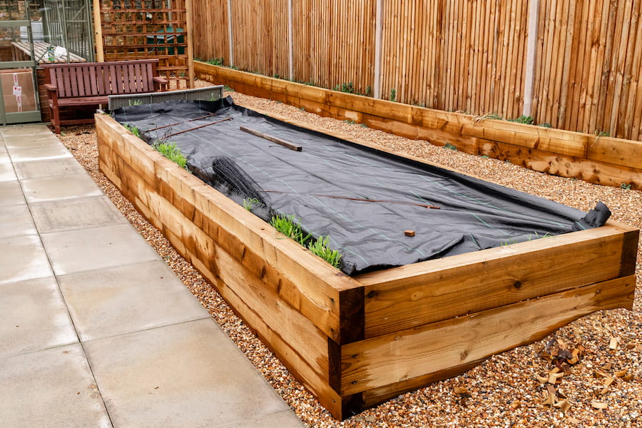 One of the garden beds on the right side of the pathway leading up to the greenhouse.