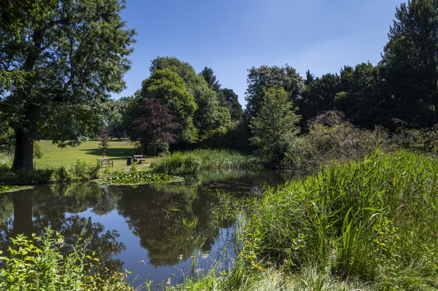 Lake surrounded by green nature