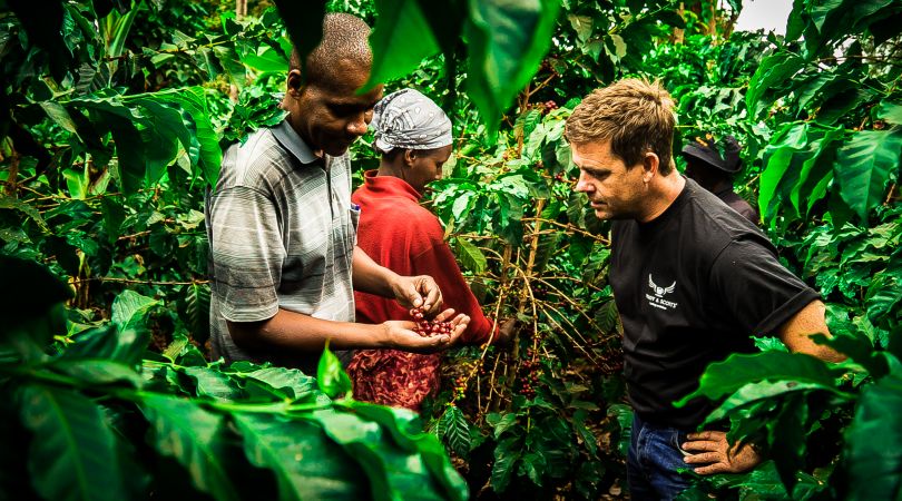Farmer in a coffee plantation