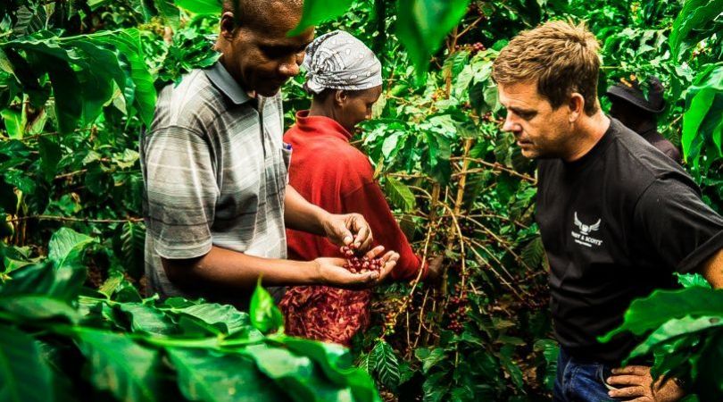 Farmer in a coffee plantation
